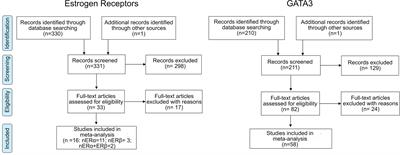 Association Between Estrogen Receptors and GATA3 in Bladder Cancer: A Systematic Review and Meta-Analysis of Their Clinicopathological Significance